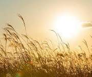 [문스독 X 은혼]