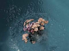 재앙 한가운데에서 4