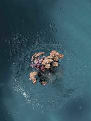 재앙 한가운데에서