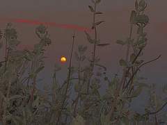 네 삶의 일부가 되고 싶었던*