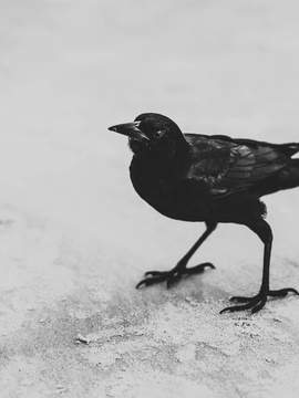 호의가 지나치시니