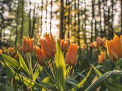 백한 번째 편지