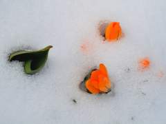 02.여름 속의 겨울