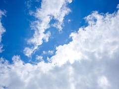 풍한결 / 학생기록부