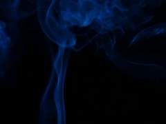 너와 나는 결코,