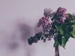 짝사랑의 가시화