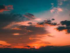 그러나 우리는 날지도 못하고 울지만