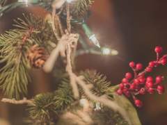 우리 집에 천사가 산다