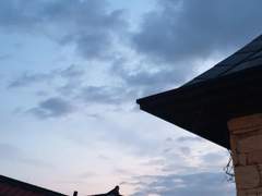 나는 맨날 뭐를 하고싶었다