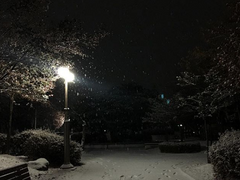 '진짜로' 사랑하게 된 이유 2/2