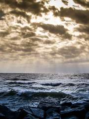 죠죠 [One P□ece La Squadra]