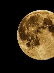 죠죠 [Demon La Squadra]