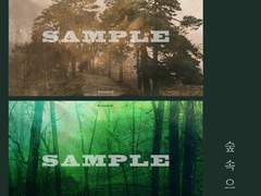 03_숲속으로 이미지 작업