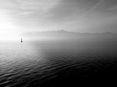 지금은 결과가 더 중요해.