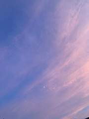 누가 저 수호천사좀 말려줘!