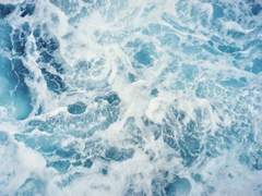 [켠꿍쁘띠앤솔: CC] 연애교전(戀愛交戰)