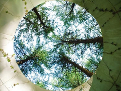 [고래별/해수수아] 데리러 가