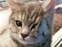 127막내 김여주 모먼트 EP.15