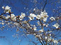 추억이라 부르기 위한 기억에 관하여