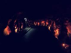 붉게 피어나는 길