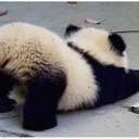 かおる　카오루