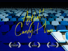 아스팔트와 사탕과 비행기 - 11