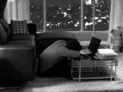 사랑에 죽지 않으셨음에 축하드립니다