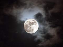 (2인합주) 비 미 🎻🎹