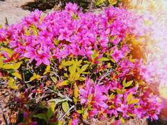 유흥업소 영업정지가 반가운 당신들에게