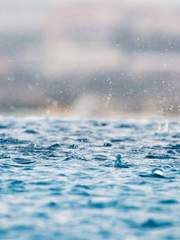 용왕님의 셋째아들