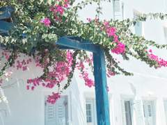 멘션 온 커플링으로 한장 연성