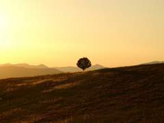 Adrian C. Gabriel / 28 / Xy