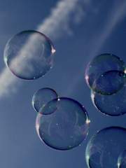 작디 작은 비눗방울