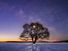 발췌 이미지 - 밤, 별