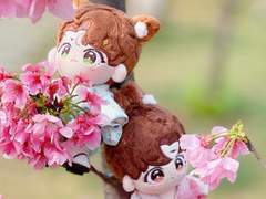 죽엽차 & 도화소 (15cm)