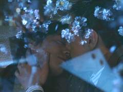 [포르노그래퍼/키도키지하루/하루리오키도] 꽃나무를 흔드는 바람