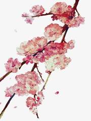 [마도조사] 백월 (白月)