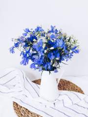 Aridif Laniakea Blanchett