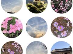 사진 스티커 18종