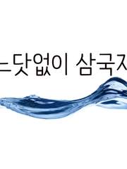 느닷없이 삼국지