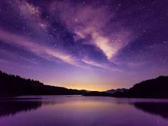 Magnus Skyler_Profile