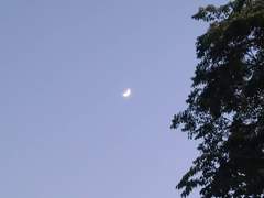 빌어먹게, 빌어먹을 08