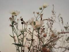 알렉스 & 데이브