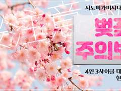 [시노비가미]벚꽃주의보