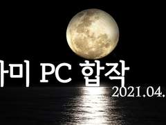 시노비가미 PC 합작