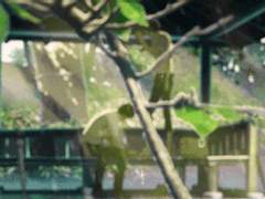 보슬보슬 햇비, 맞아 주자