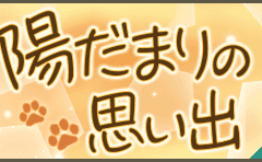 스타오케 陽だまりの思い出 이벤트 정리