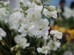 항해커│윤 비단