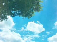 여름이 그리워질 때 -1