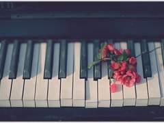 [사마이치] METEOR